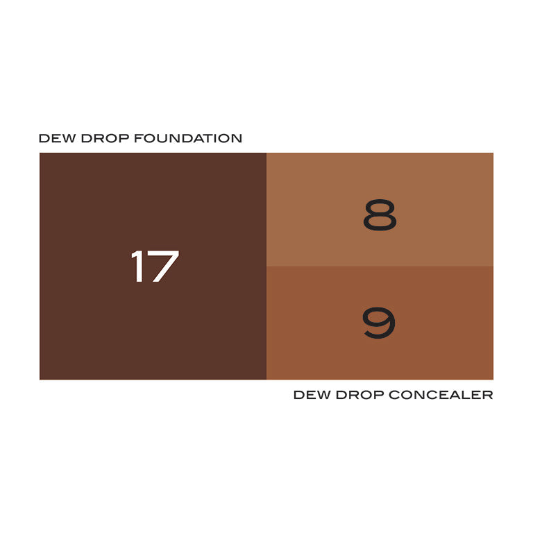 17 - RICH BROWN / YELLOW - light-to-medium coverage foundation for dewy skin in rich brown with yellow undertones
