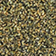 MATIN VERT - SHEER SEAWEED GREEN WITH GOLD SHIMMER