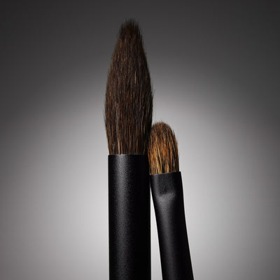 Artistique Eye Brush Duo