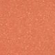 CANTALOUP - GOLDEN MELON