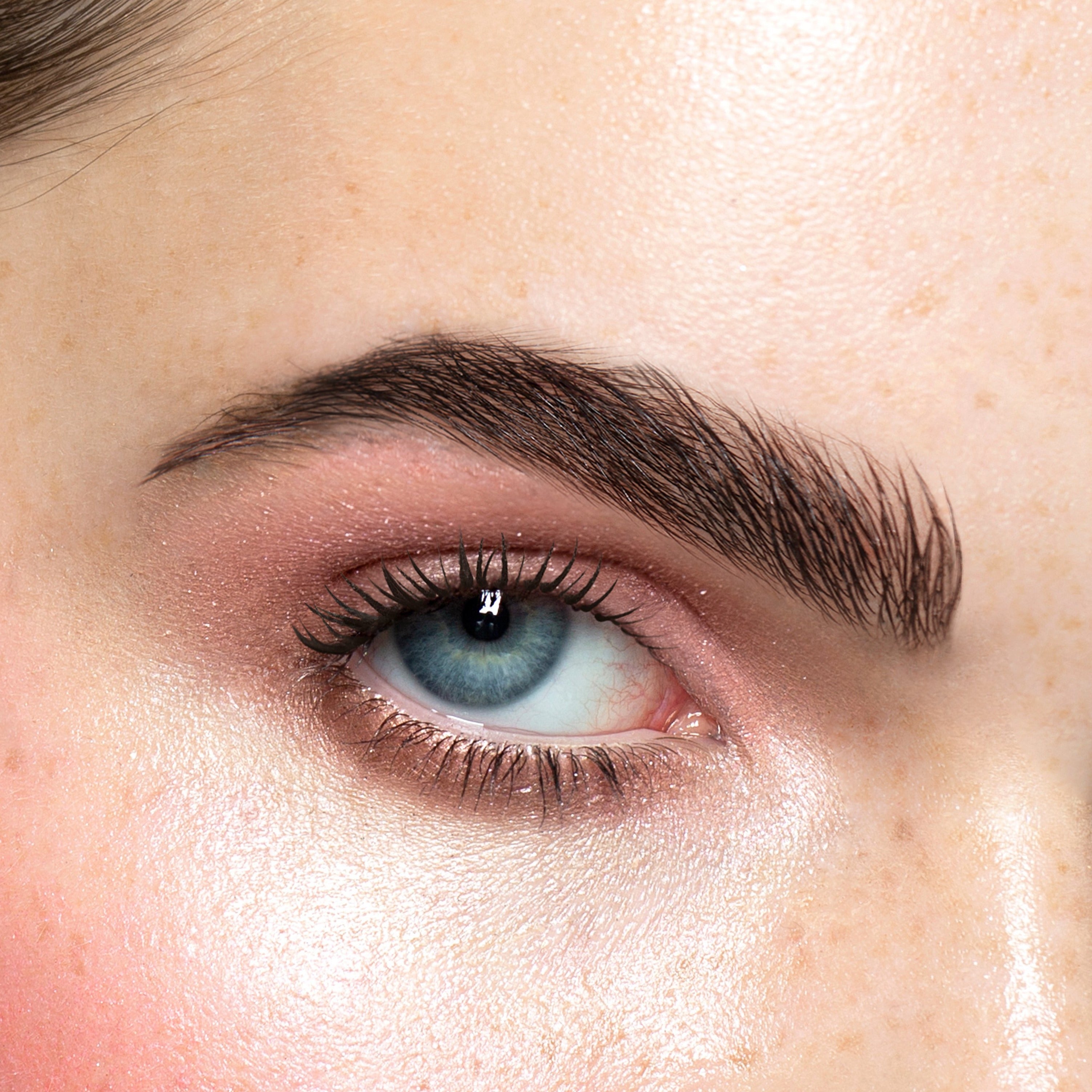 dune rose pink eyeshadow palette on model